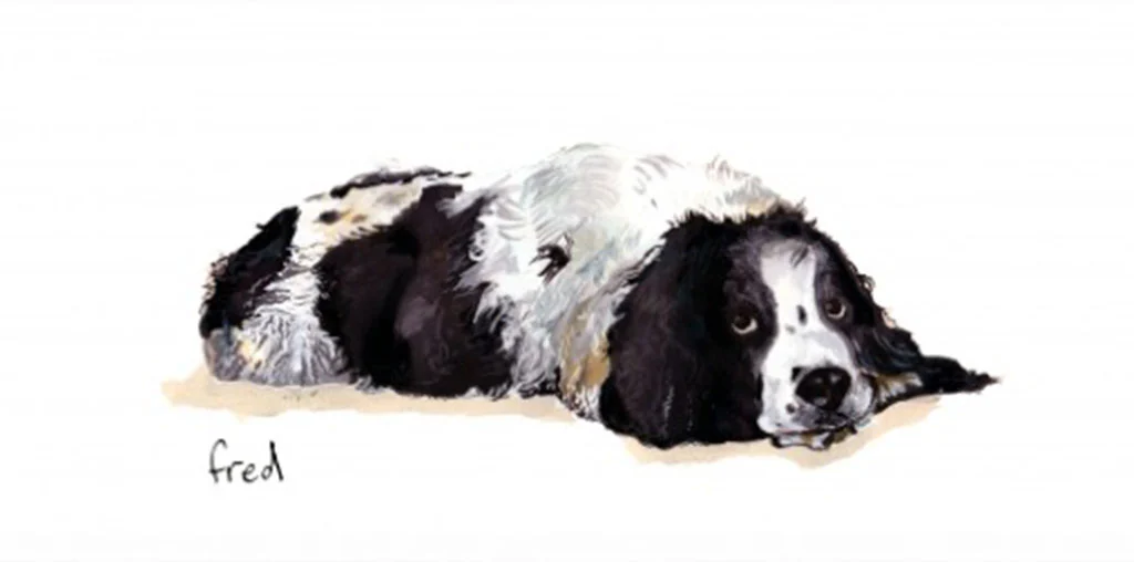 Grußkarte Hund "Fred" - Catherine Rayner