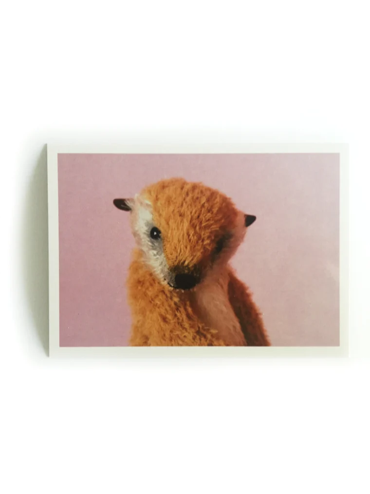 Kuscheltier-Postkarte "Kleine Freunde" - Erdmännchen "Alex"