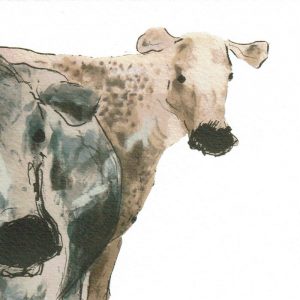 Grußkarte Kühe "Norman & Nelson" - Catherine Rayner