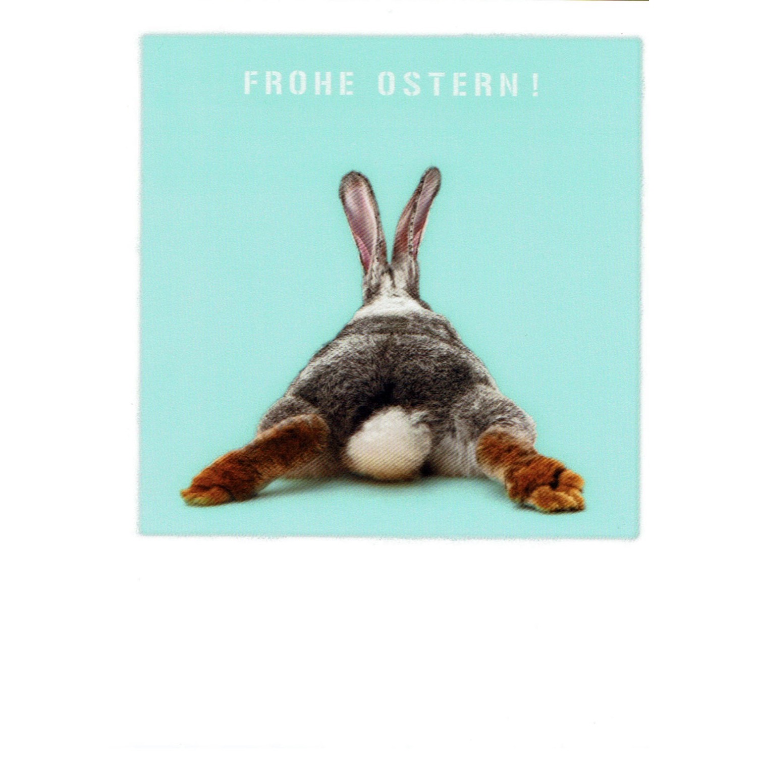 Postkarte - PolaCards - Frohe Ostern - Hase von hinten - 12-651