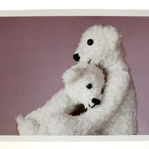 Kuscheltier-Postkarte "Kleine Freunde" - Eisbären "David & Hannah"