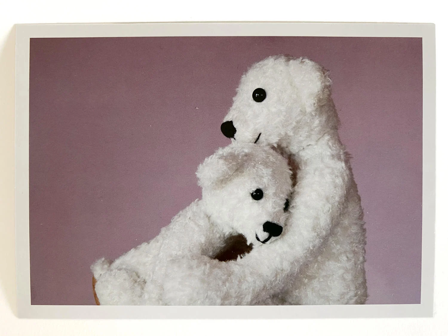 Kuscheltier-Postkarte "Kleine Freunde" - Eisbären "David & Hannah"
