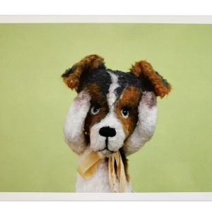 Kuscheltier-Postkarte "Kleine Freunde" - Hund "Karlchen" - 6.F098