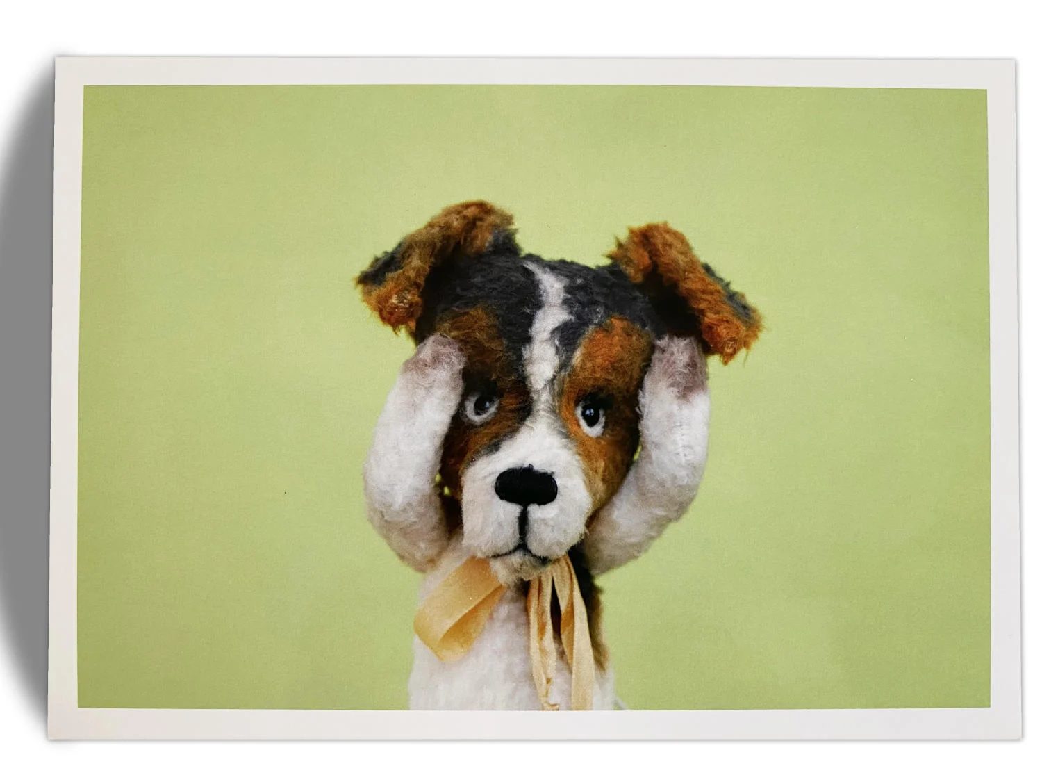 Kuscheltier-Postkarte "Kleine Freunde" - Hund "Karlchen" - 6.F098