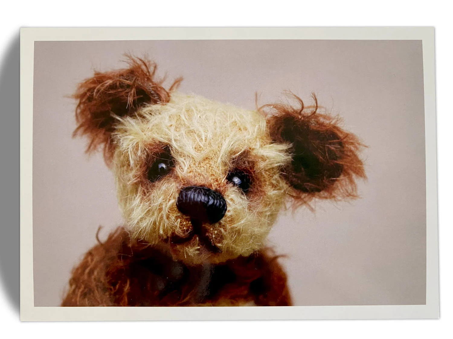 Kuscheltier-Postkarte "Kleine Freunde" - Bär "Till" - 6.F103