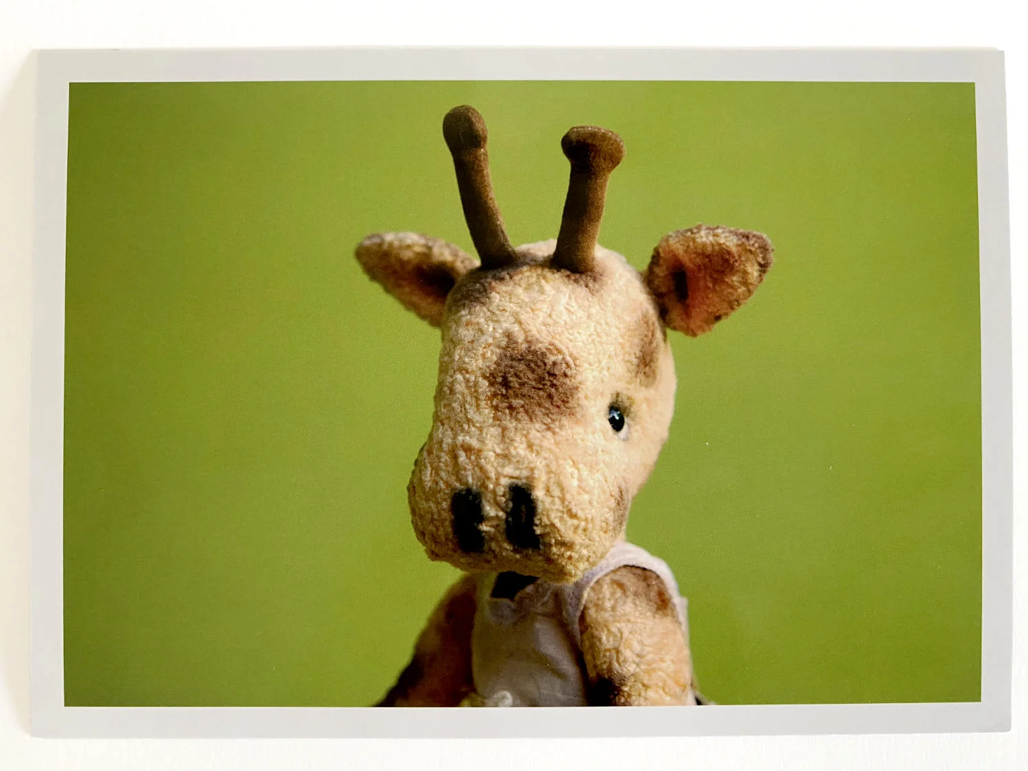 Kuscheltier-Postkarte "Kleine Freunde" - Giraffe "Anik"