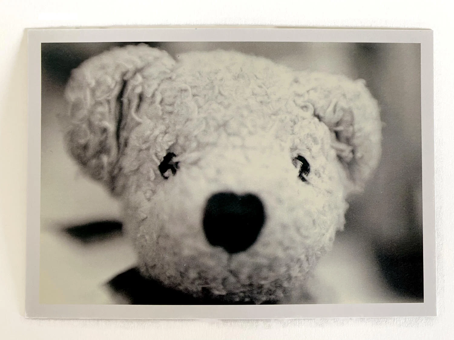 Kuscheltier-Postkarte "Kleine Freunde" - Bär "Felix"