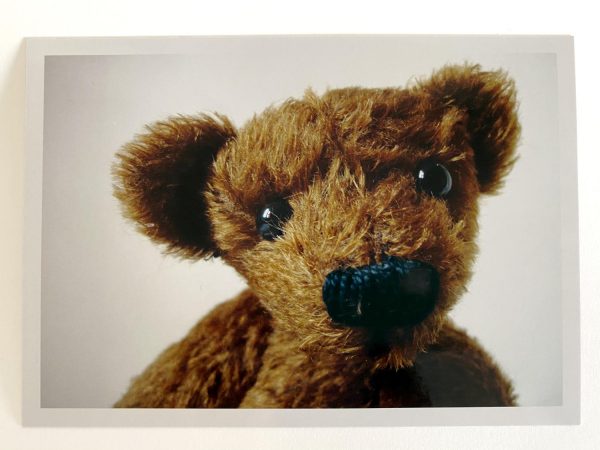 Kuscheltier-Postkarte "Kleine Freunde" - Bär "Lucy"