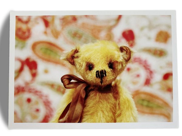 Kuscheltier-Postkarte "Kleine Freunde" - Bär "Tim" - 7.F126