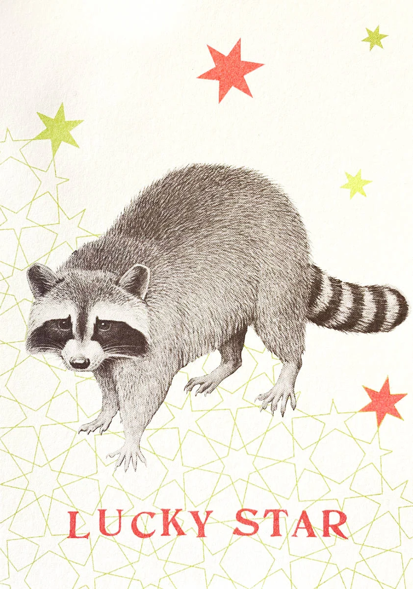 Postkarte - Lucky Star - Waschbär - pv.03