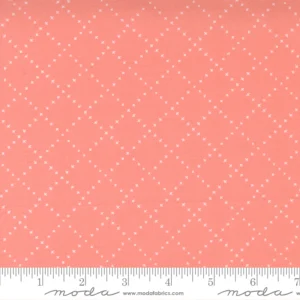 Moda - Gingiber - Crossing Lines Primrose - 48337 13