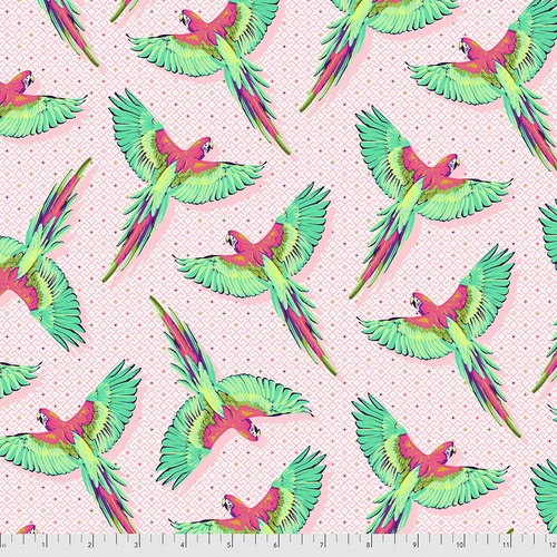 FreeSpirit - Daydreamer - Macaw Ya Later Dragonfruit - PWTP170.DRAGONFRUIT