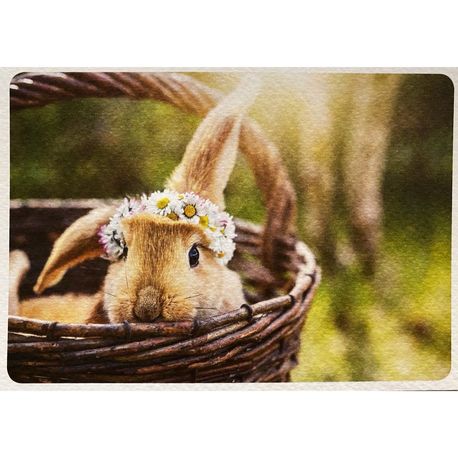Postkarte - Taurus - Kopfschmuck - Hase im Korb - PK 6736