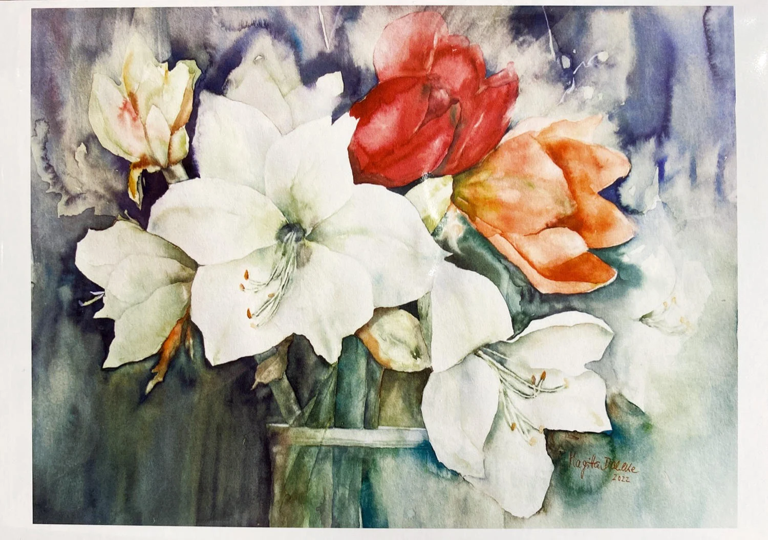 Grußkarte - Amaryllis - 9219