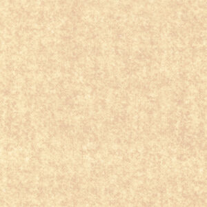 Benartex - Winter Wool Flannel - Cream - 9618F-07