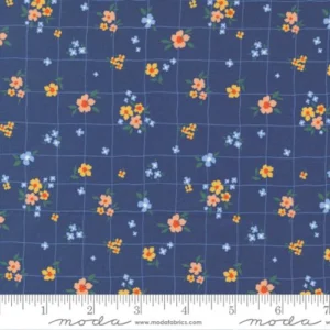 Moda - Sundance - Buttercup Indigo - Crystal Manning - 11905 21