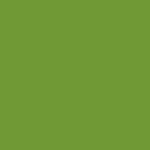 Benartex - Superior Solids - Citron - 3000B-48