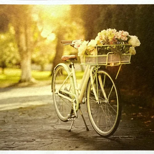 Postkarte - Blumenkurier - Fahrrad mit Blumenkorb