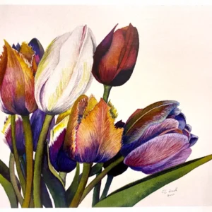 Postkarte - Aquarell mit Tulpen - Frank Koebsch