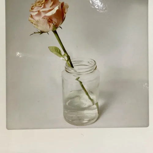 Postkarte - My Vintage Rose - Rose im Glas - Pickmotion