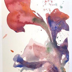 Weihnachtskarte - Zwei Amaryllis