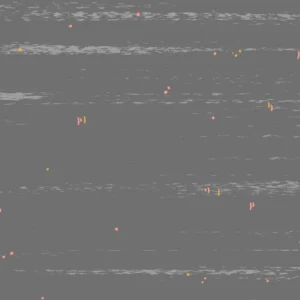 Sun Print Textures - Canvas Smoke - Alison Glass - Andover - 1284-C