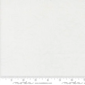 Botany - Monstera White - Moda Fabrics - 11551 21