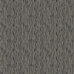 Northcott - Modern Elements - Zebra Black - 28174-99