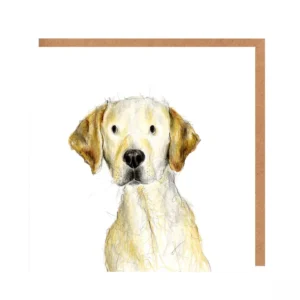 Grußkarte Golden Retriever Fenton - Catherine Rayner