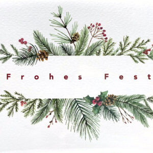 Weihnachtskarte - Frohes Fest - Tannenzweige