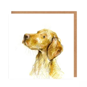 Grußkarte Vizsla Flynn - Catherine Rayner