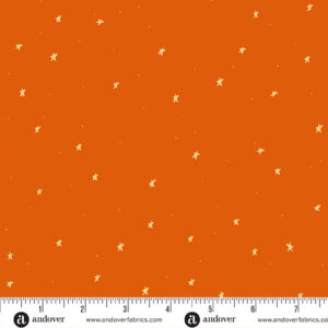 Celestial Garden - Starlit Sky Orange - Andover - A-10030-O