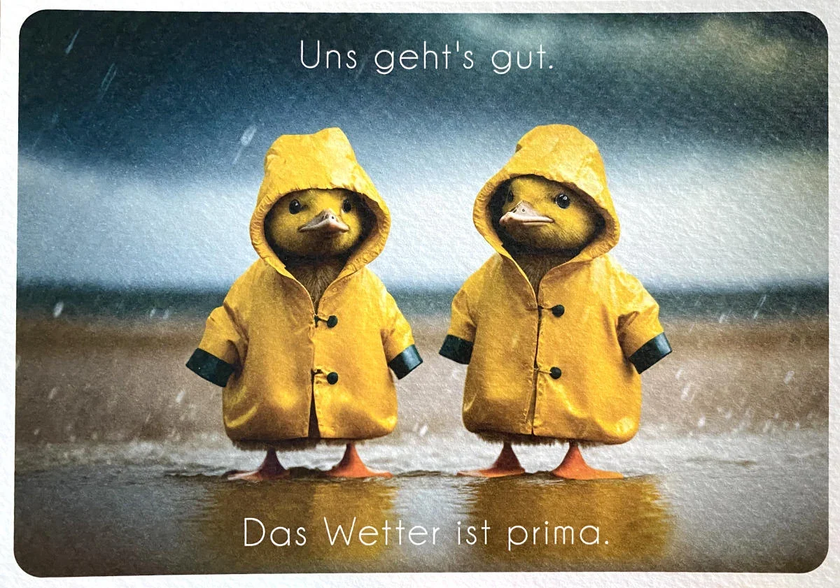 Postkarte - Uns geht's gut - Küken im Regenmantel - PK7291