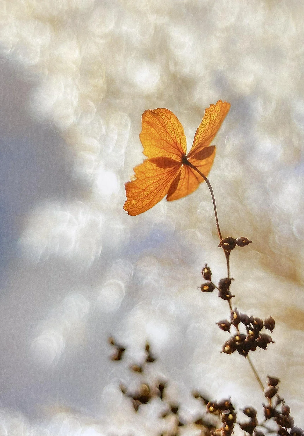 Trauerkarte "Zum Licht" - art & nature